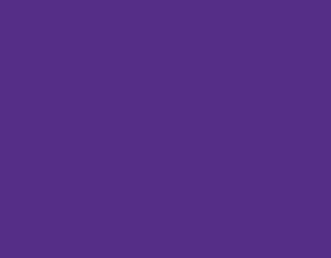 punta-violeta.jpg